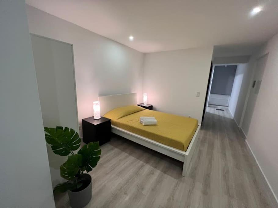 Opo - Fantastic Studio With Garden OOporto Habitación foto